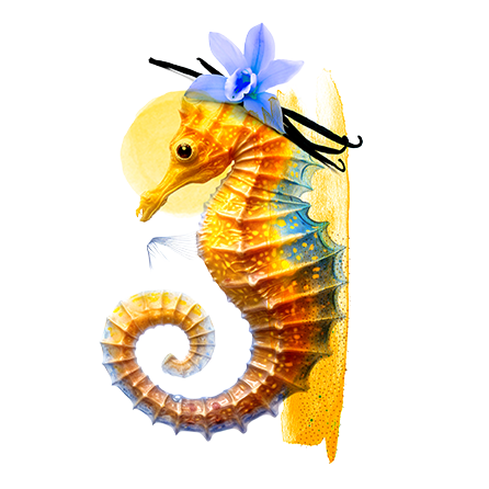 ASSAONA BotonKids