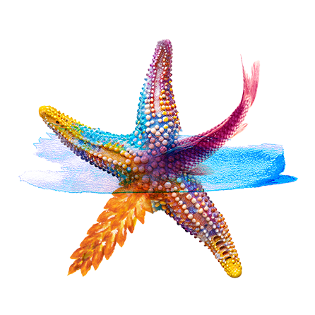 ASSAONA BotonMenuDia web