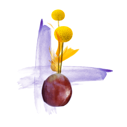 Boton Cartavinos 1